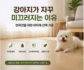 How to Create a Comfortable Home for Your Dog in Winter | Why a Warm Floor Environment Matters